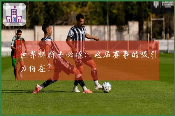 世界杯新手必读：这届赛事的吸引力何在？